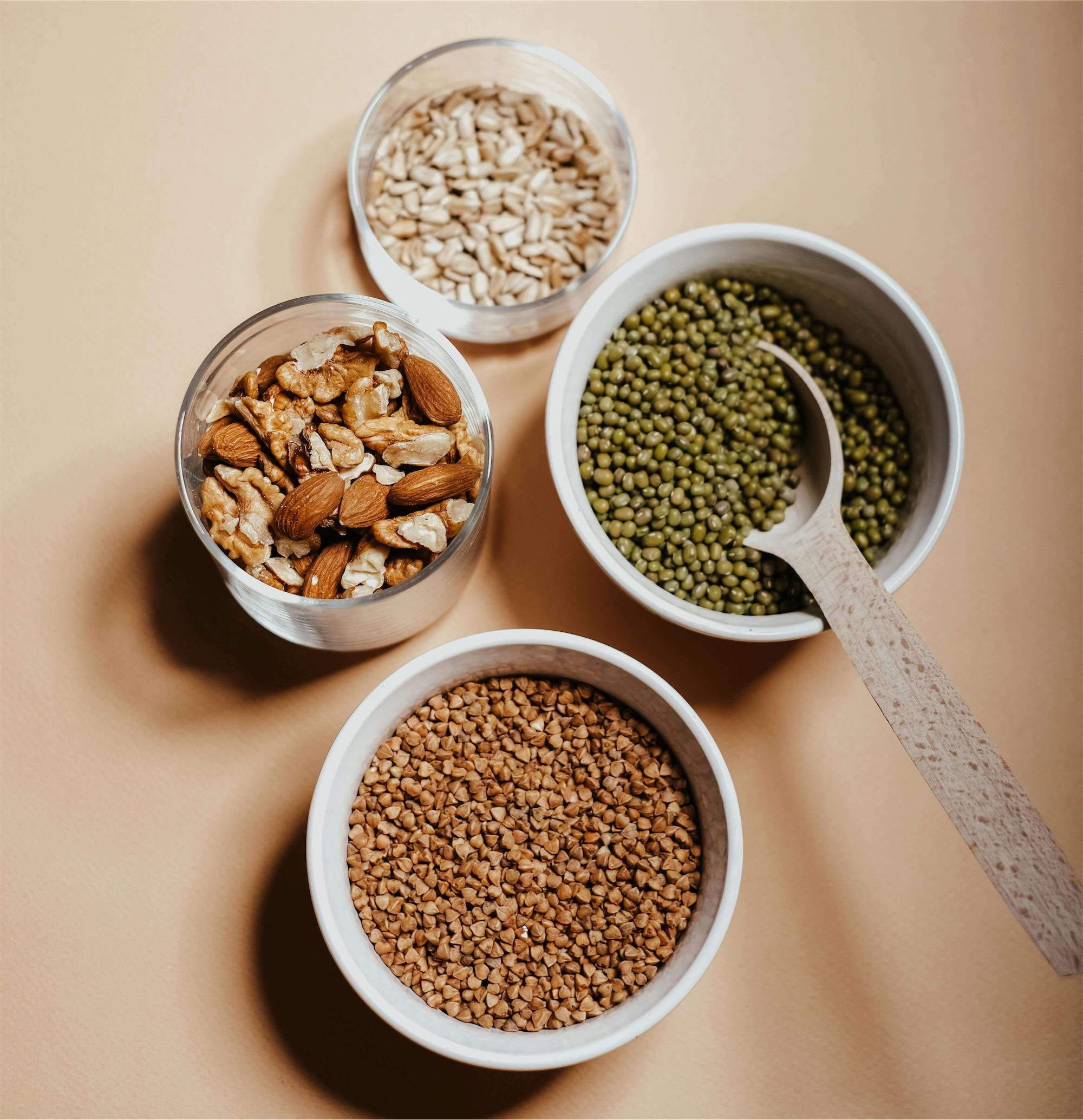 Plant Protein